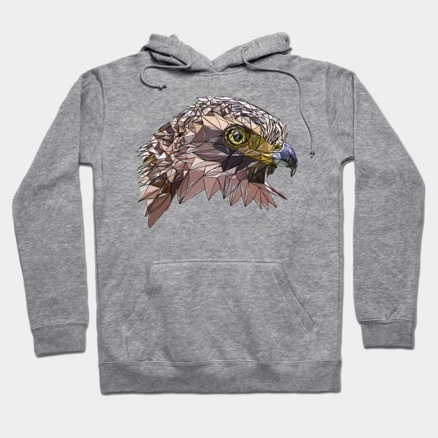 Crested Serpent-eagle watercolor Hoodie by Edwardmhz